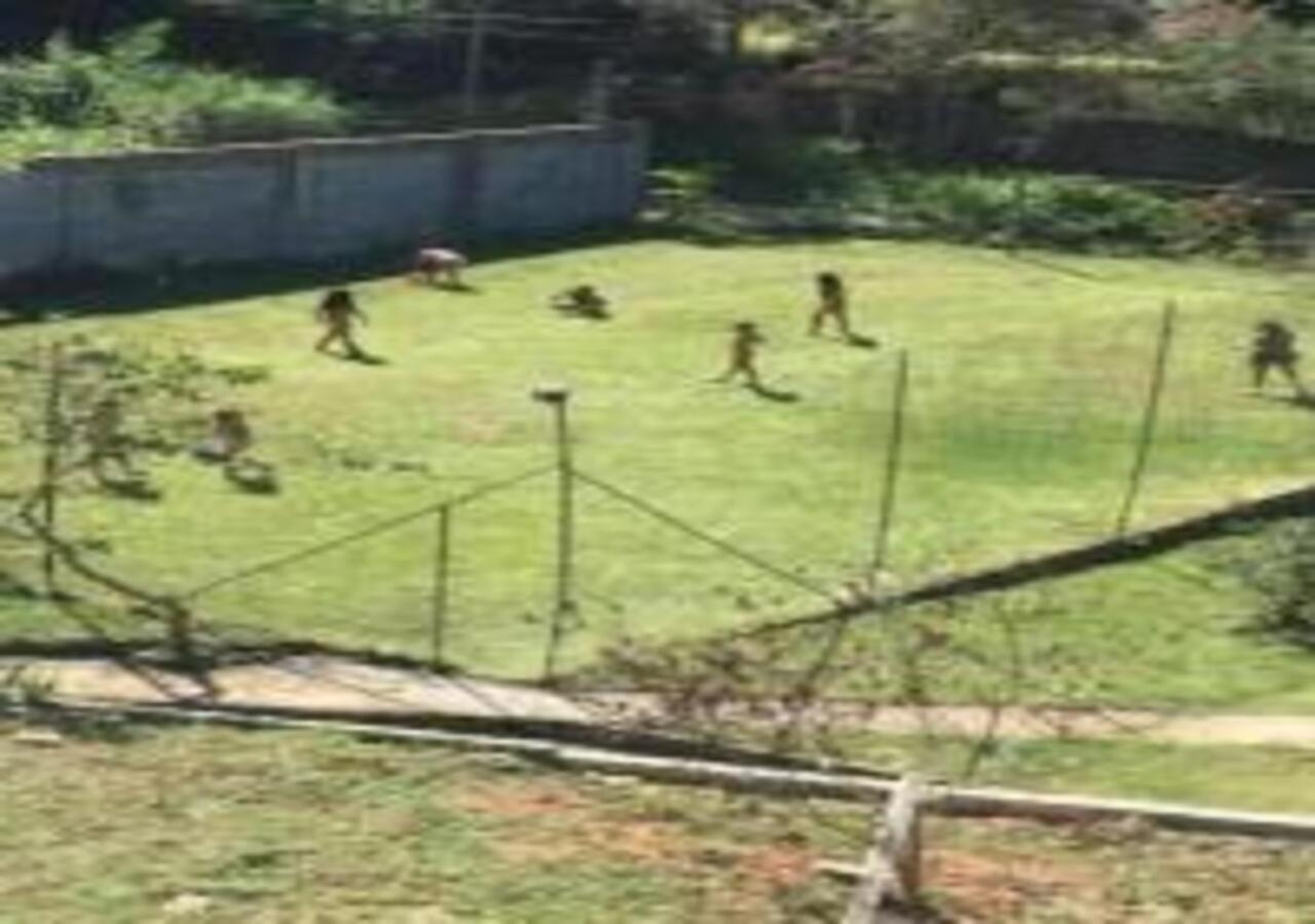 Casa Acolhedora Com Lazer E Espaco Gourmet Petrópolis المظهر الخارجي الصورة